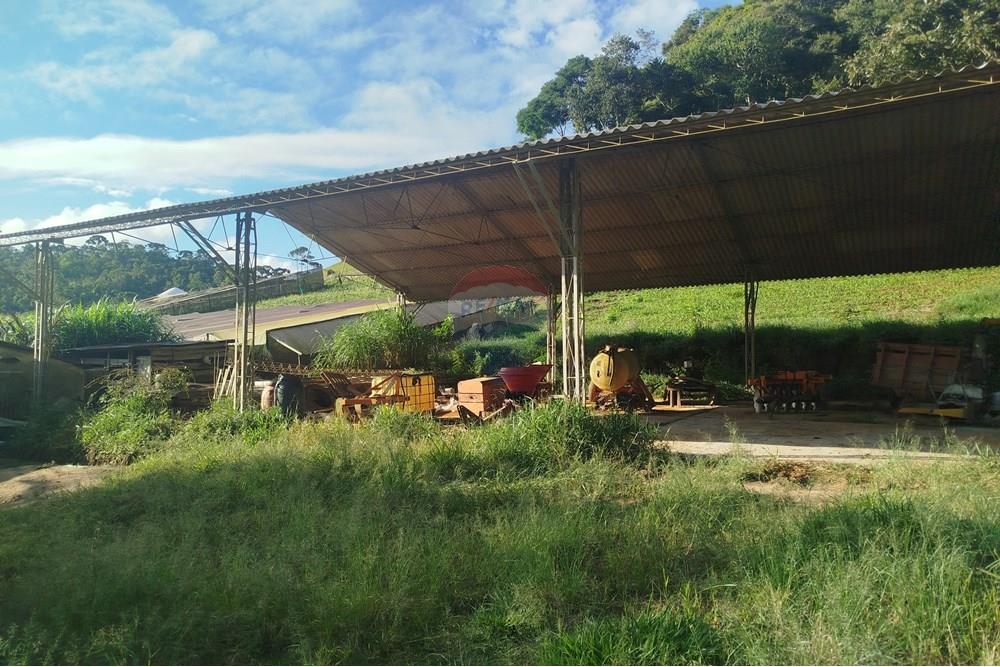 Fazenda - Venda - Barbacena , Minas Gerais - IMG_20250421_160048.jpg - 860391012-32