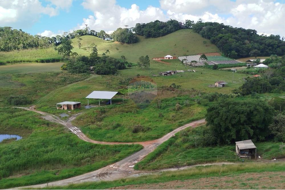 Fazenda - Venda - Barbacena , Minas Gerais - IMG_20250402_144231.jpg - 860391012-32