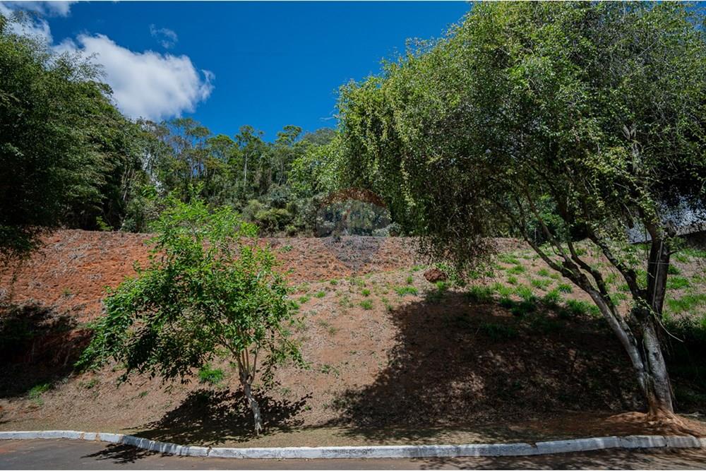 Terreno - Venda - Juiz de Fora , Minas Gerais - michaelseed photo_s3-204.jpg - Fachada - 860211077-205