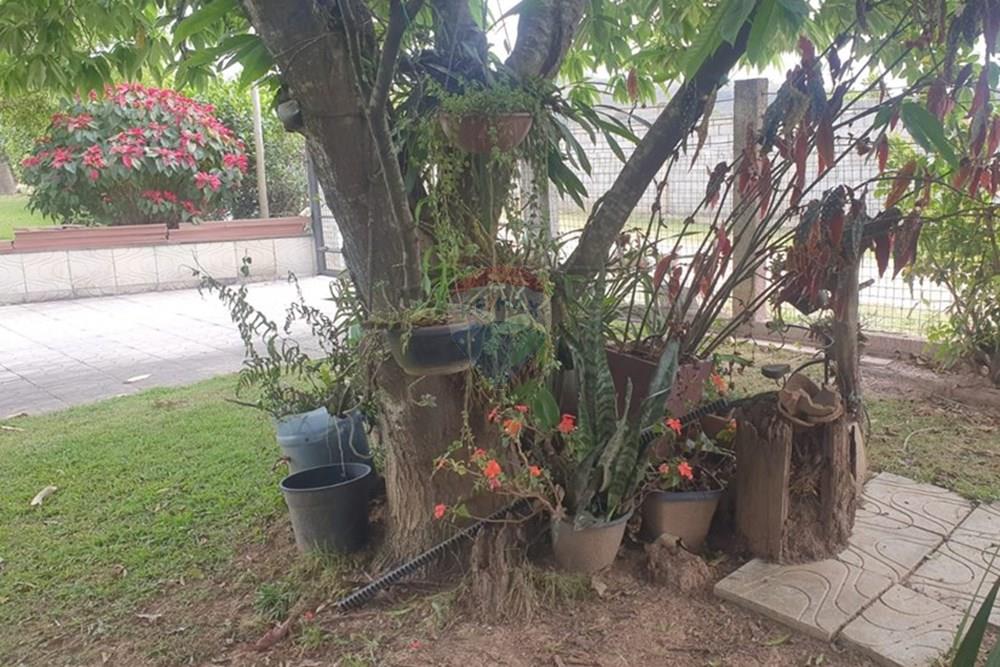 Chácara / Sítio / Fazenda - Venda - Barbacena , Minas Gerais - WhatsApp Image 2025-11-17 at 14.43.28 (15).jpeg - 860391028-24