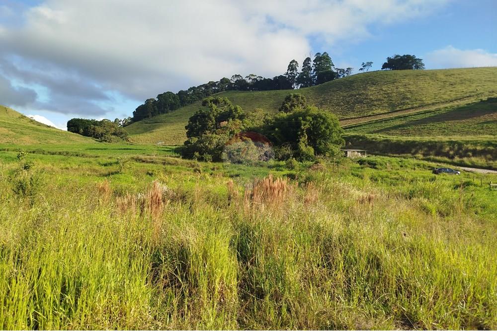 Fazenda - Venda - Barbacena , Minas Gerais - IMG_20250421_161315.jpg - 860391012-32