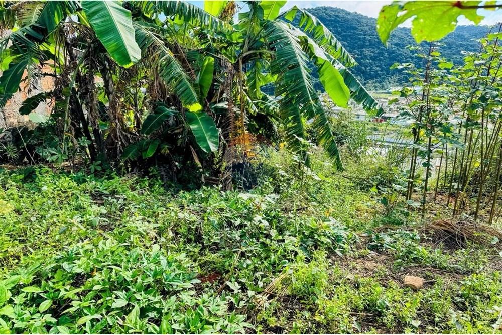 Terreno - Venda - Juiz de Fora , Minas Gerais - 869acaae-6f8b-4ecd-953f-fd1f35ef7f6b.jpg - 860211053-57