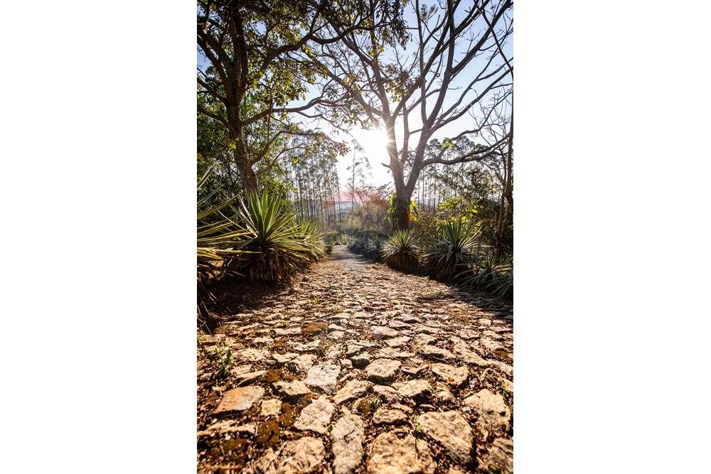 Chácara / Sítio / Fazenda - Venda - Juiz de Fora , Minas Gerais - Campana-15.jpg - 860211077-215
