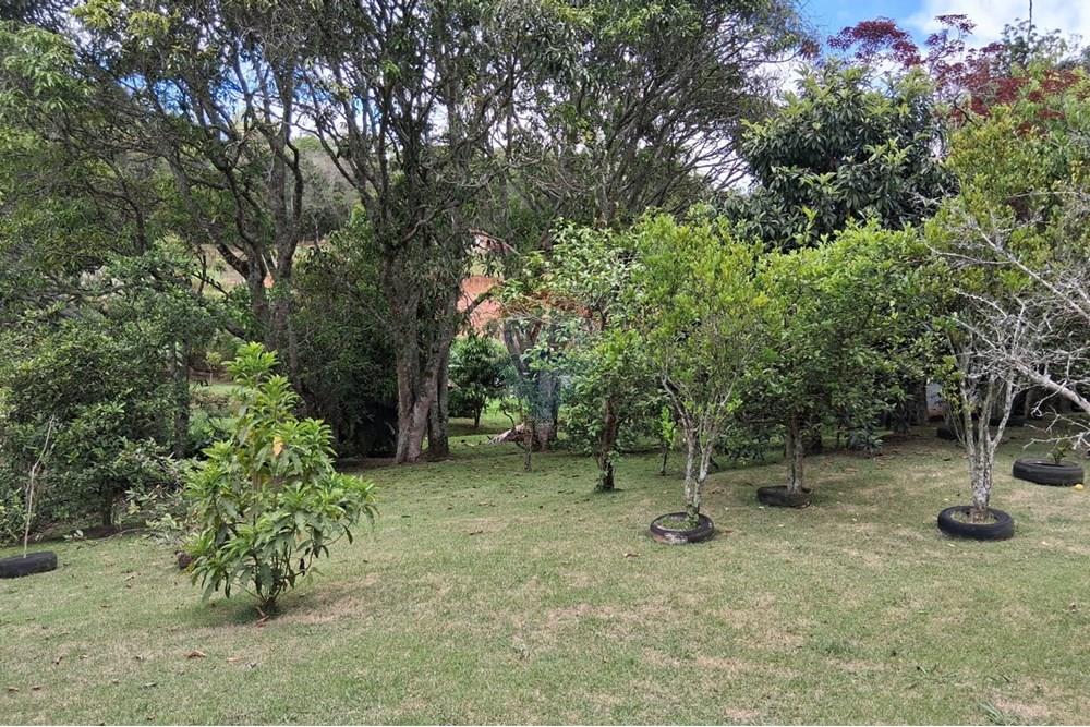 Chácara / Sítio / Fazenda - Venda - Juiz de Fora , Minas Gerais - WhatsApp Image 2025-11-18 at 21.05.32.jpeg - 860281098-63