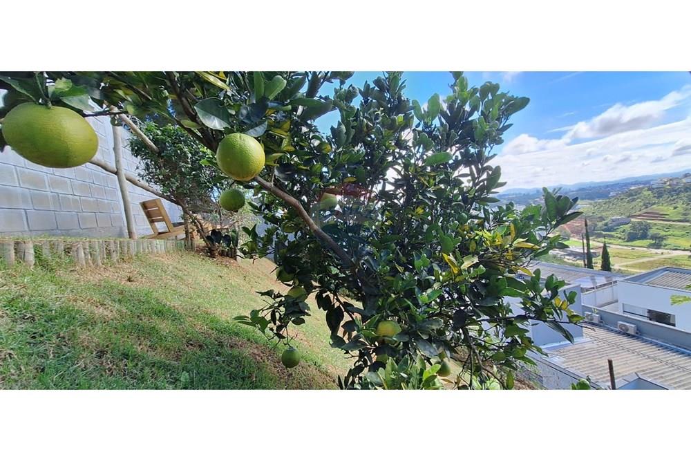 Casa - Alugar - Juiz de Fora , Minas Gerais - WhatsApp Image 2026-04-08 at 18.31.09.jpeg - 860301016-274