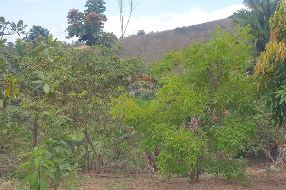 Chácara / Sítio / Fazenda - Venda - Barbacena , Minas Gerais - WhatsApp Image 2025-11-17 at 14.43.29 (7).jpeg - 860391028-24