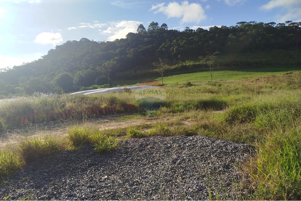 Fazenda - Venda - Barbacena , Minas Gerais - IMG_20250421_161334.jpg - 860391012-32