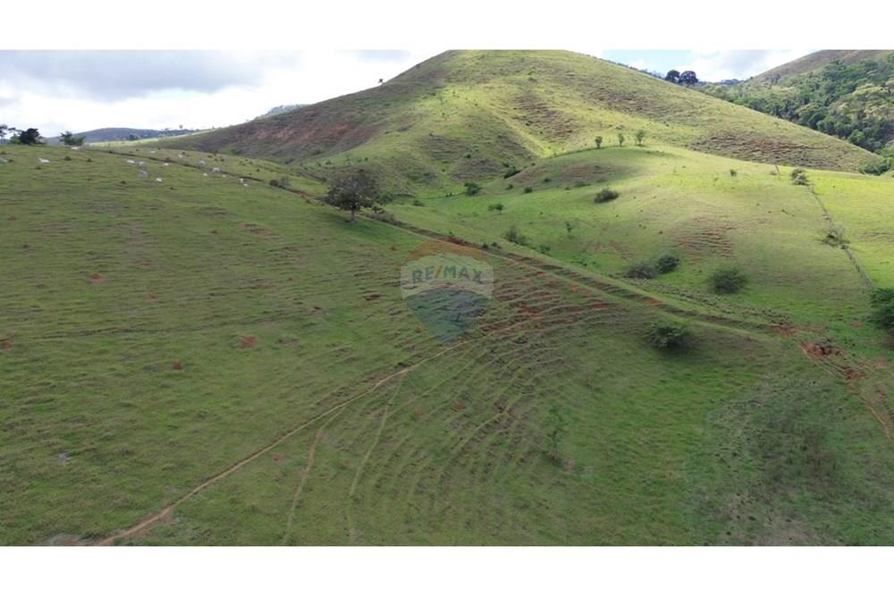 Agro - Venda - Rochedo de Minas , Minas Gerais - 9af01ff4-818f-4511-9a52-ad7b6c15dd78.JPG - 860291041-34