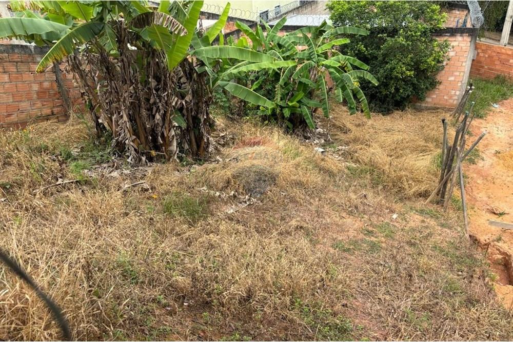 Terreno - Venda - Conselheiro Lafaiete , Minas Gerais - WhatsApp Image 2025-02-17 at 15.28.01 (2).jpeg - 860421002-451