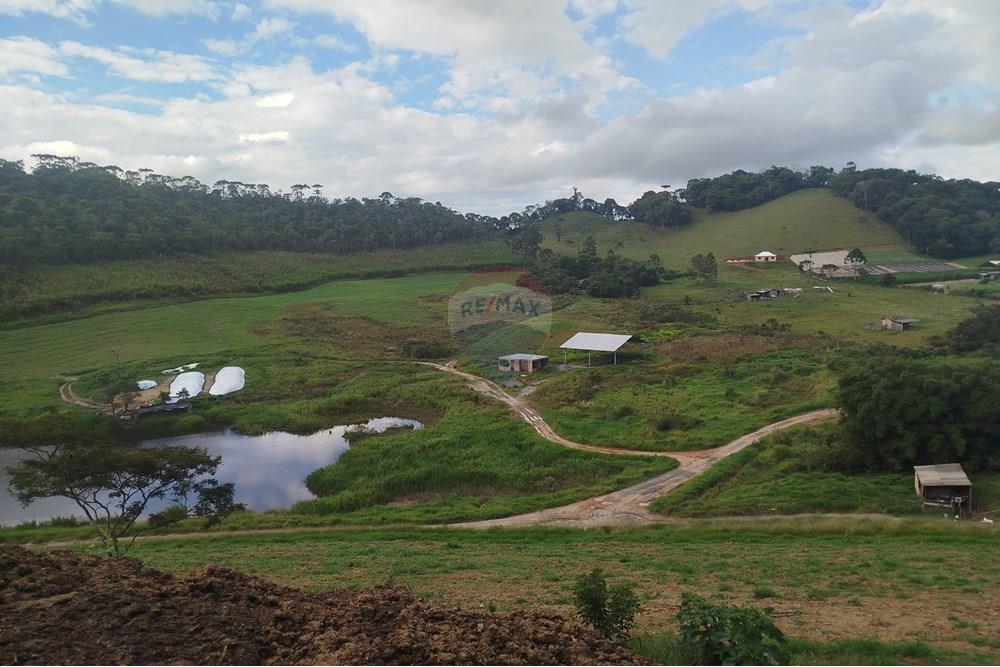 Fazenda - Venda - Barbacena , Minas Gerais - IMG_20250421_152626.jpg - 860391012-32