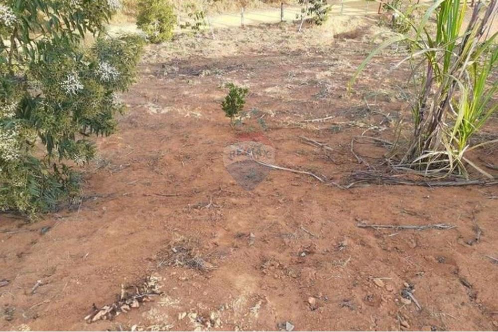 Terreno - Venda - Coronel Pacheco , Minas Gerais - 7-10.jpeg - 860271015-16