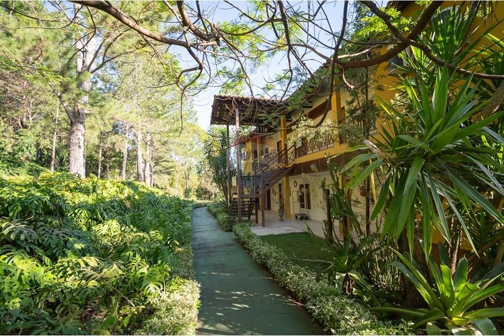 Terreno - Venda - Matias Barbosa , Minas Gerais - michaelseed.photo_SEMANA 2 11-347.jpg - 860361050-63