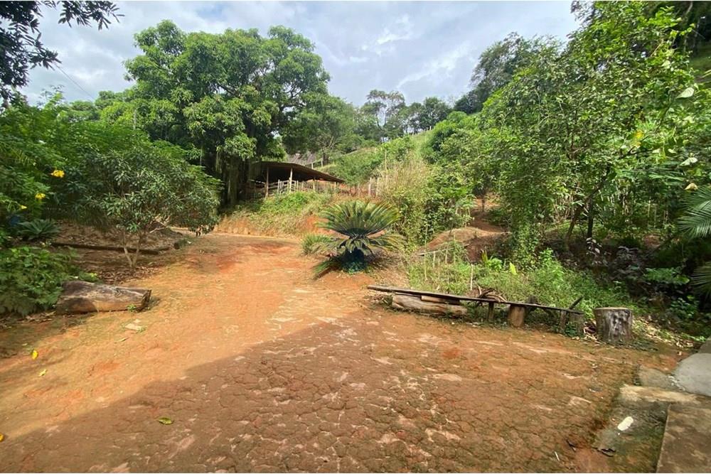Chácara / Sítio / Fazenda - Venda - Muriaé , Minas Gerais - WhatsApp Image 2025-03-24 at 12.32.20 (8).jpeg - 860371002-116