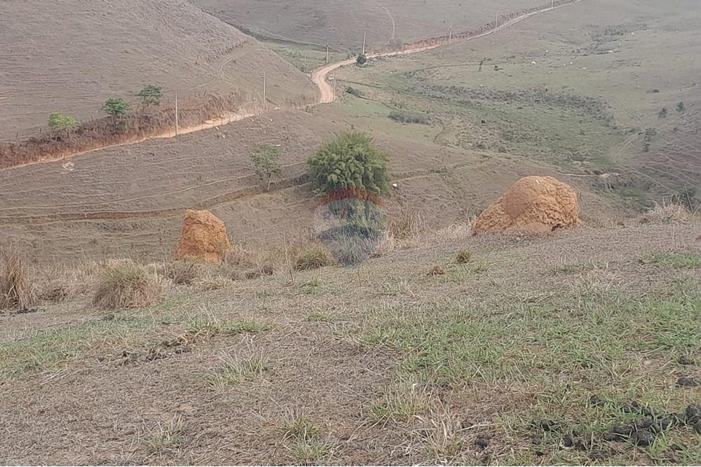 Terreno - Venda - Juiz de Fora , Minas Gerais - WhatsApp Image 2025-01-20 at 18.27.24.jpeg - 860381043-29