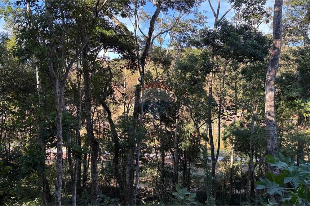 Terreno - Venda - Juiz de Fora , Minas Gerais - WhatsApp Image 2025-05-28 at 20.54.31 (9).jpeg - 860301015-176