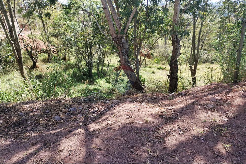 Terreno - Venda - Barbacena , Minas Gerais - 10 - 860391002-86