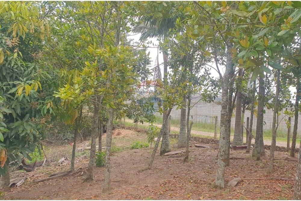 Chácara / Sítio / Fazenda - Venda - Barbacena , Minas Gerais - WhatsApp Image 2025-11-17 at 14.43.29 (6).jpeg - 860391028-24