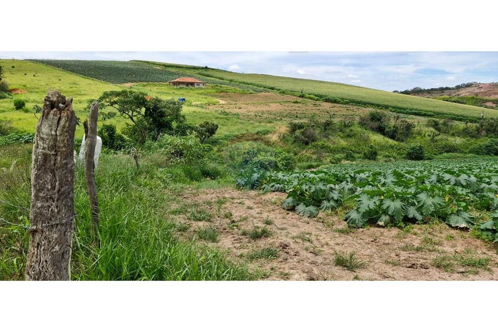 Terreno - Venda - Barbacena , Minas Gerais - WhatsApp Image 2025-01-24 at 11.32.44 (2).jpeg - 860391020-35