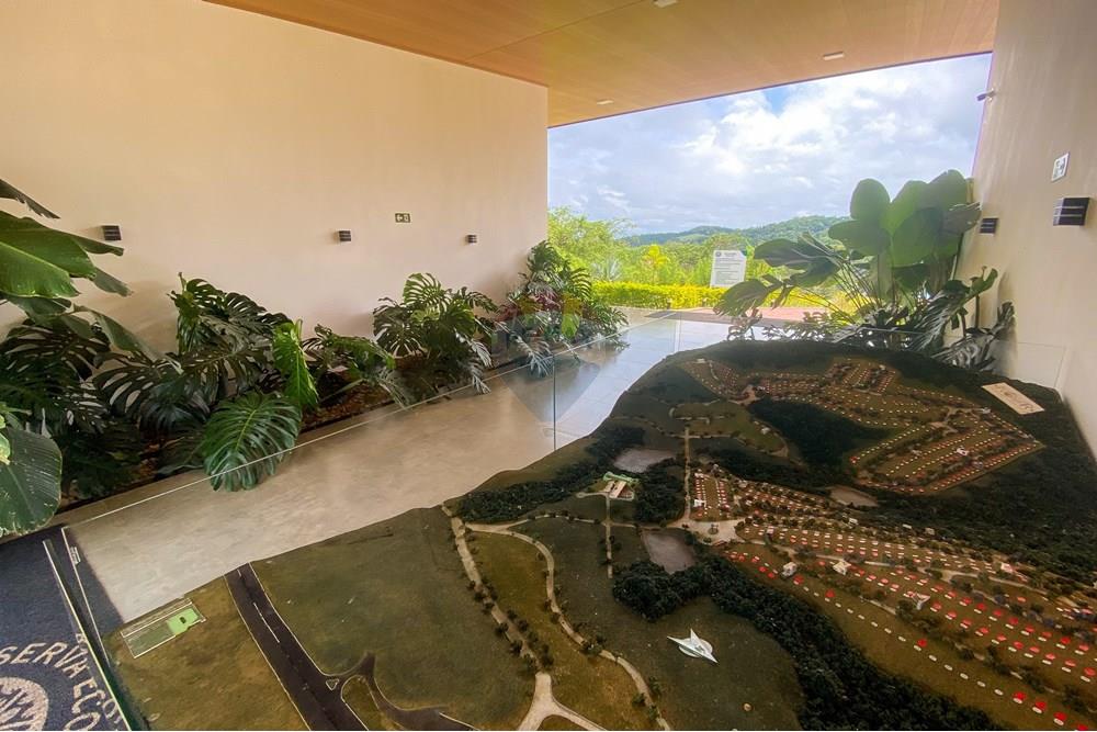 Terreno - Venda - Matias Barbosa , Minas Gerais - Foto0038 (4).jpg - 860241095-73