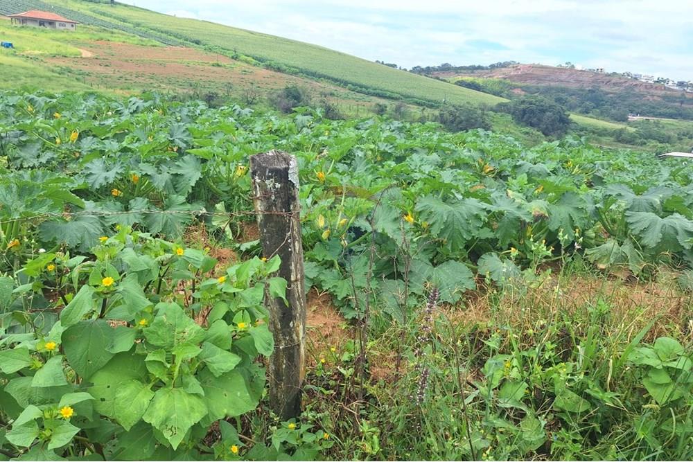 Terreno - Venda - Barbacena , Minas Gerais - WhatsApp Image 2025-01-24 at 14.57.33.jpeg - 860391020-35