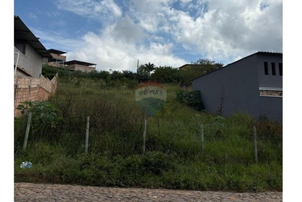Terreno - Venda - Conselheiro Lafaiete , Minas Gerais - bc644deb-1a10-4735-ad22-80b75a74f4cf.jpeg - 860421022-100