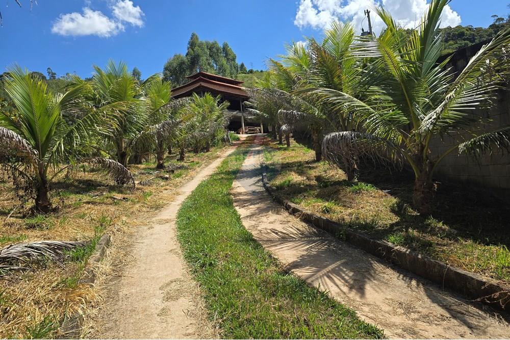 Chácara / Sítio / Fazenda - Venda - Ewbank da Câmara , Minas Gerais - 5.jpg - 860381070-34