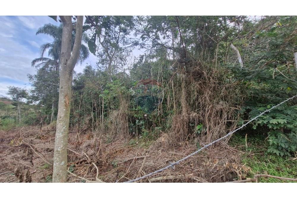 Terreno - Venda - Chácara , Minas Gerais - WhatsApp Image 2025-04-27 at 19.08.10 (1).jpeg - 860211017-60