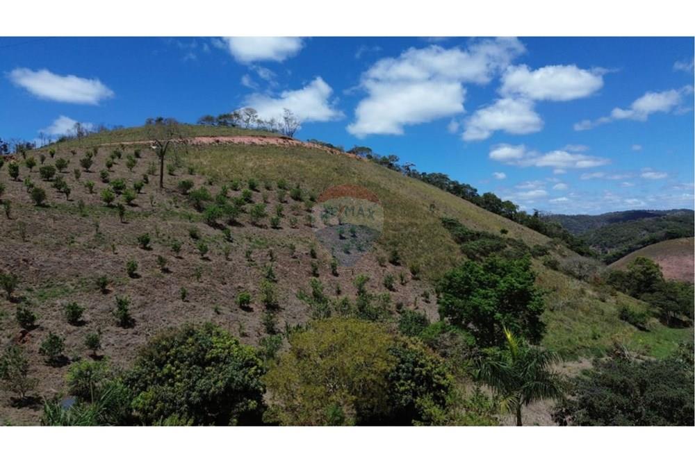 Terreno - Venda - Ewbank da Câmara , Minas Gerais - WhatsApp Image 2025-10-28 at 16.54.59.jpeg - 860241100-35