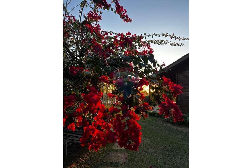 Chácara / Sítio / Fazenda - Venda - Juiz de Fora , Minas Gerais - WhatsApp Image 2024-07-08 at 21.56.39 (3).jpeg - 860211077-215