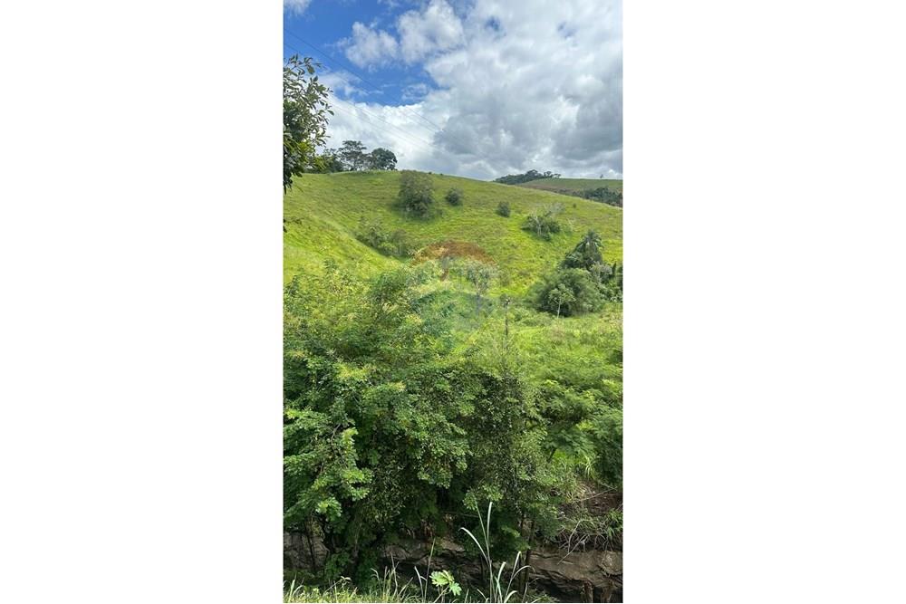 Terreno - Venda - Matias Barbosa , Minas Gerais - 1feb8200-a3c2-41a8-8ee6-b1b126ac4e46.JPG - 860291033-86