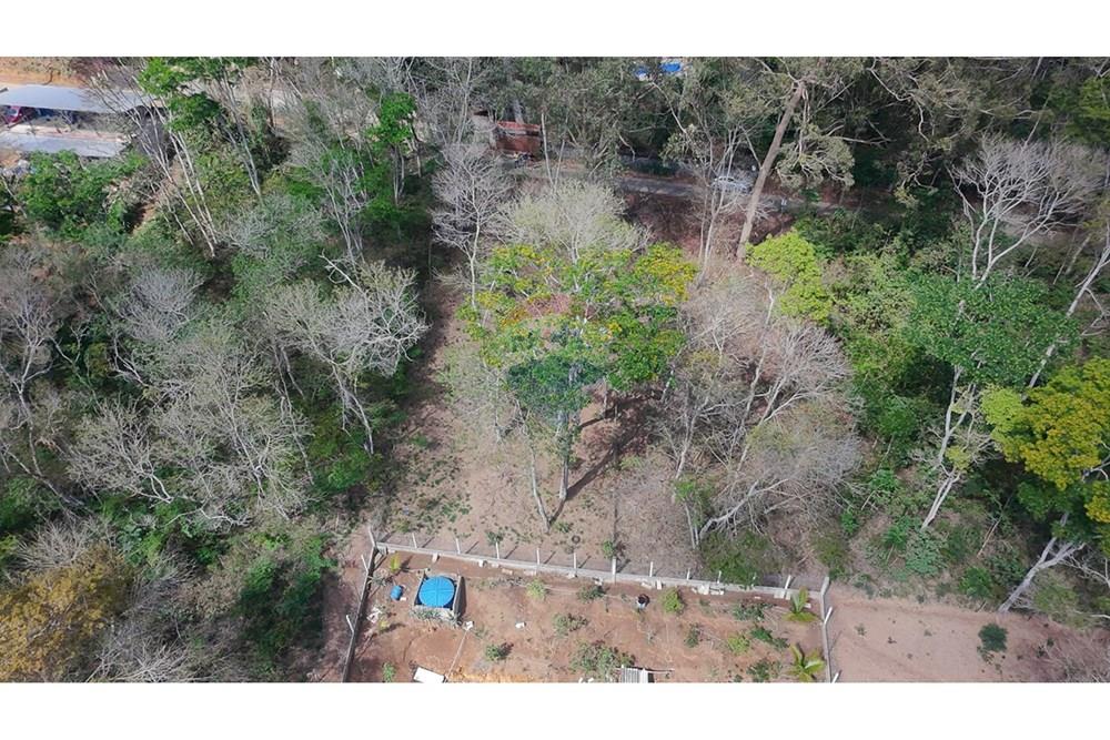 Terreno - Venda - Juiz de Fora , Minas Gerais - michaelseed photo_1103-21.jpg - Jardim Externo - 860211074-39