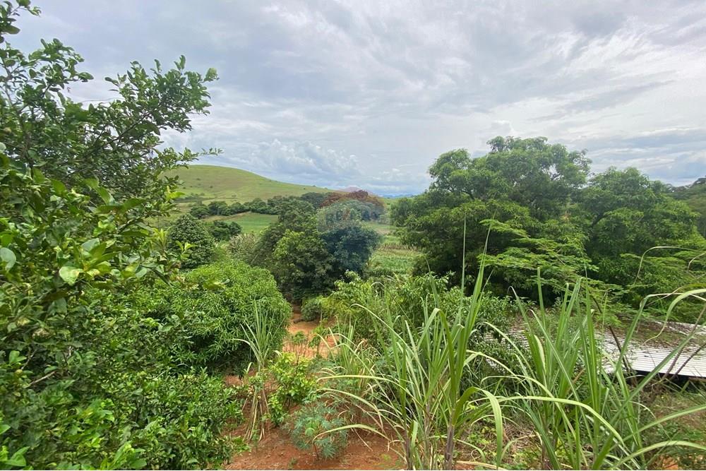 Chácara / Sítio / Fazenda - Venda - Muriaé , Minas Gerais - WhatsApp Image 2025-03-24 at 16.21.09.jpeg - 860371002-116