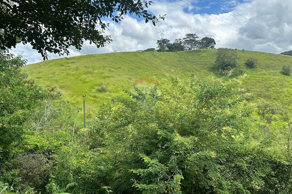 Terreno - Venda - Matias Barbosa , Minas Gerais - d460caf9-f9a4-439a-a0b5-137e0365c1cc.JPG - 860291033-86