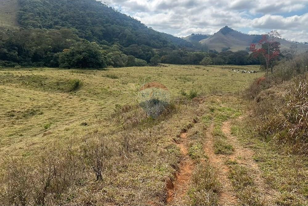 Chácara / Sítio / Fazenda - Venda - Lima Duarte , Minas Gerais - 2beb552f-ec9f-48df-8a8d-cde8f2c21562.JPG - 860291033-133
