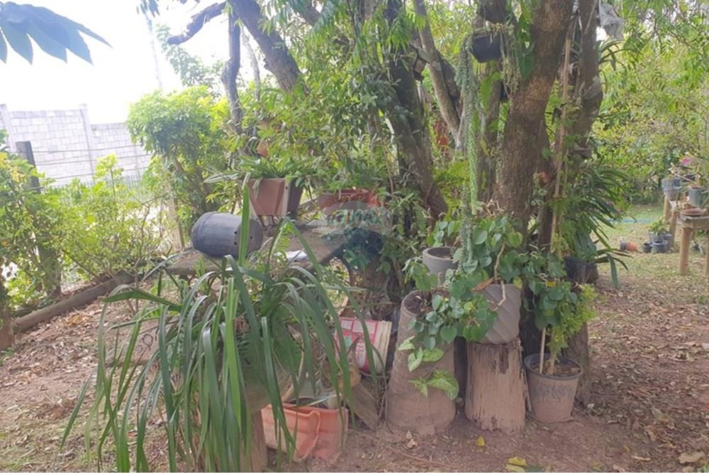 Chácara / Sítio / Fazenda - Venda - Barbacena , Minas Gerais - WhatsApp Image 2025-11-17 at 14.43.28 (14).jpeg - 860391028-24