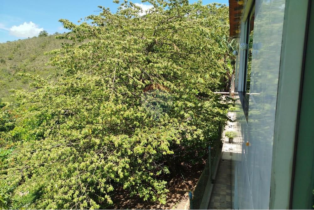 Chácara / Sítio / Fazenda - Venda - Barbacena , Minas Gerais - IMG_20251112_104929.jpg - 860391028-24