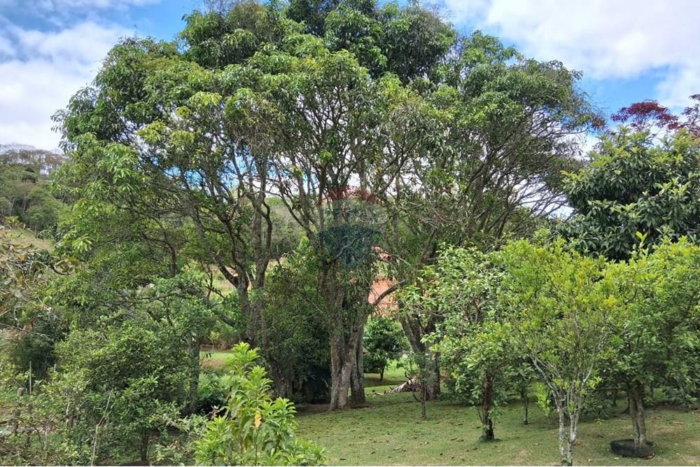 Chácara / Sítio / Fazenda - Venda - Juiz de Fora , Minas Gerais - WhatsApp Image 2025-11-18 at 21.05.29 (1).jpeg - 860281098-63
