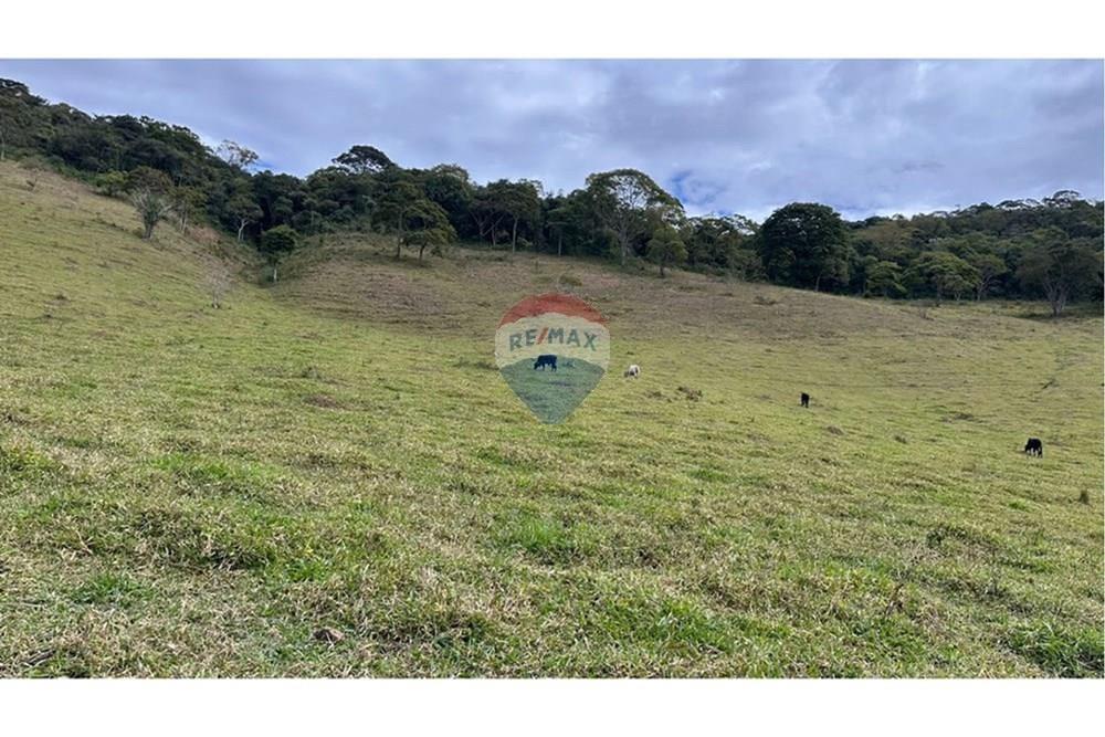 Chácara / Sítio / Fazenda - Venda - Lamim , Minas Gerais - L_4afcfb83-1a89-42b4-91a7-58316167e342.jpg - 860291033-108