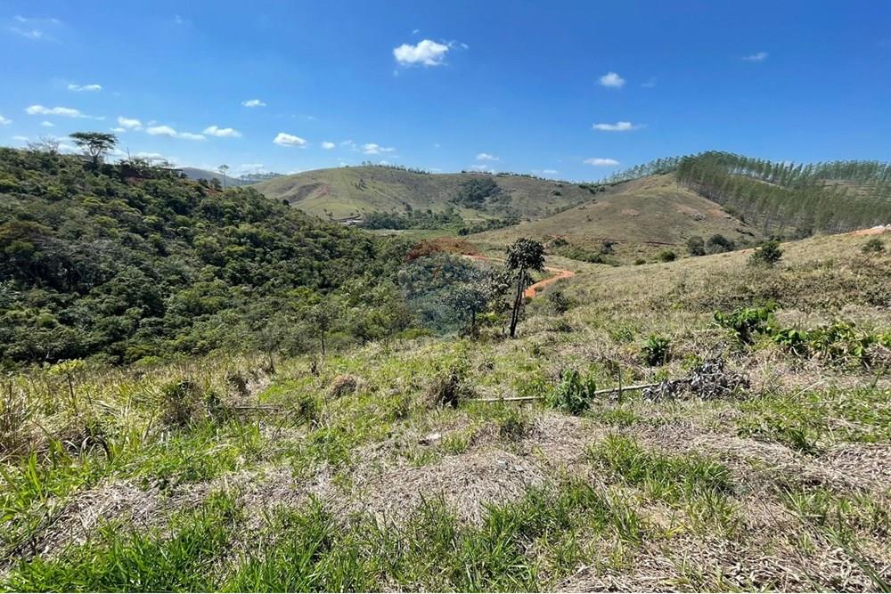 Terreno - Venda - Juiz de Fora , Minas Gerais - IMG-20250922-WA0012.jpg - 860271019-5