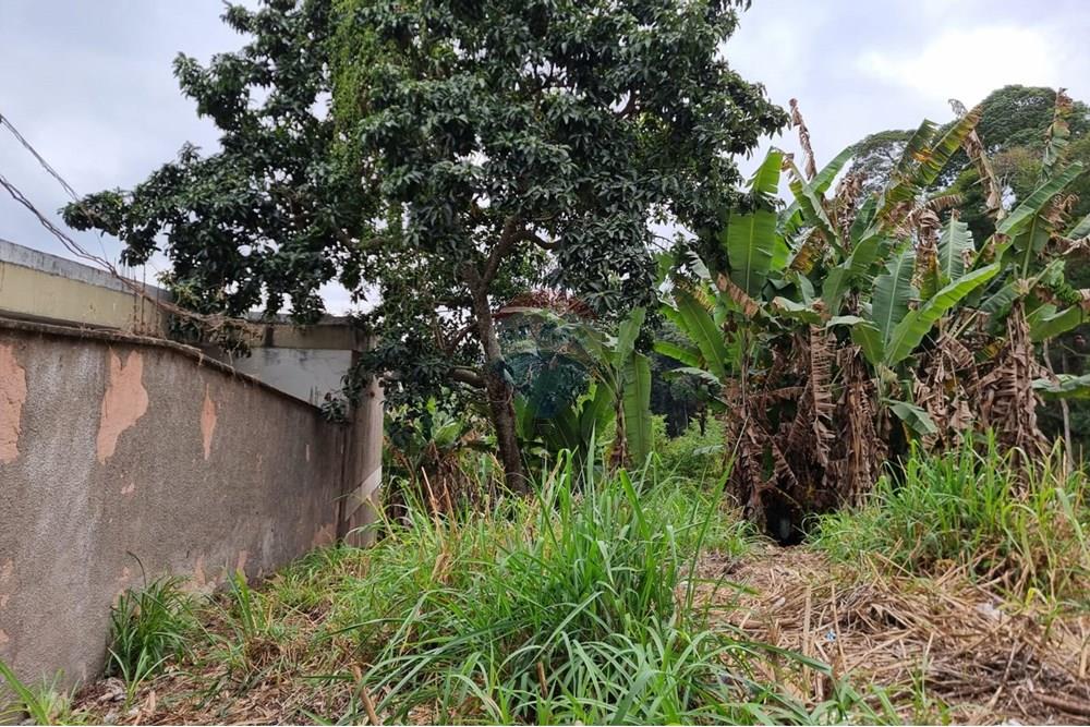 Terreno - Venda - Juiz de Fora , Minas Gerais - IMG-20250729-WA0146.jpg - 860211131-10