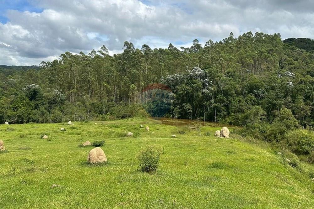 Chácara / Sítio / Fazenda - Venda - Mercês , Minas Gerais - WhatsApp Image 2025-02-18 at 15.49.39.jpeg - 860291033-77