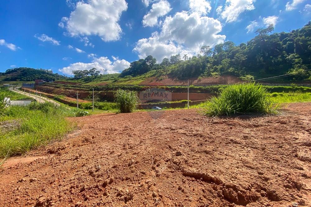 Terreno - Venda - Matias Barbosa , Minas Gerais - Foto0114.jpg - 860241100-47