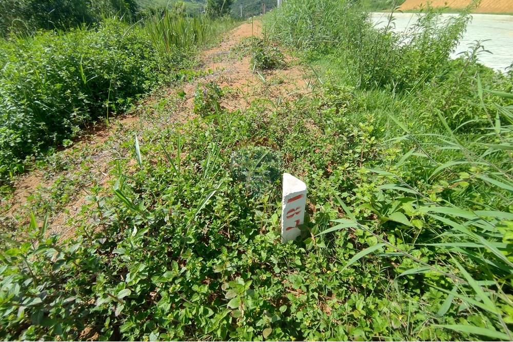 Terreno - Venda - Matias Barbosa , Minas Gerais - IMG_20250118_092454066_HDR.jpg - 860301010-76