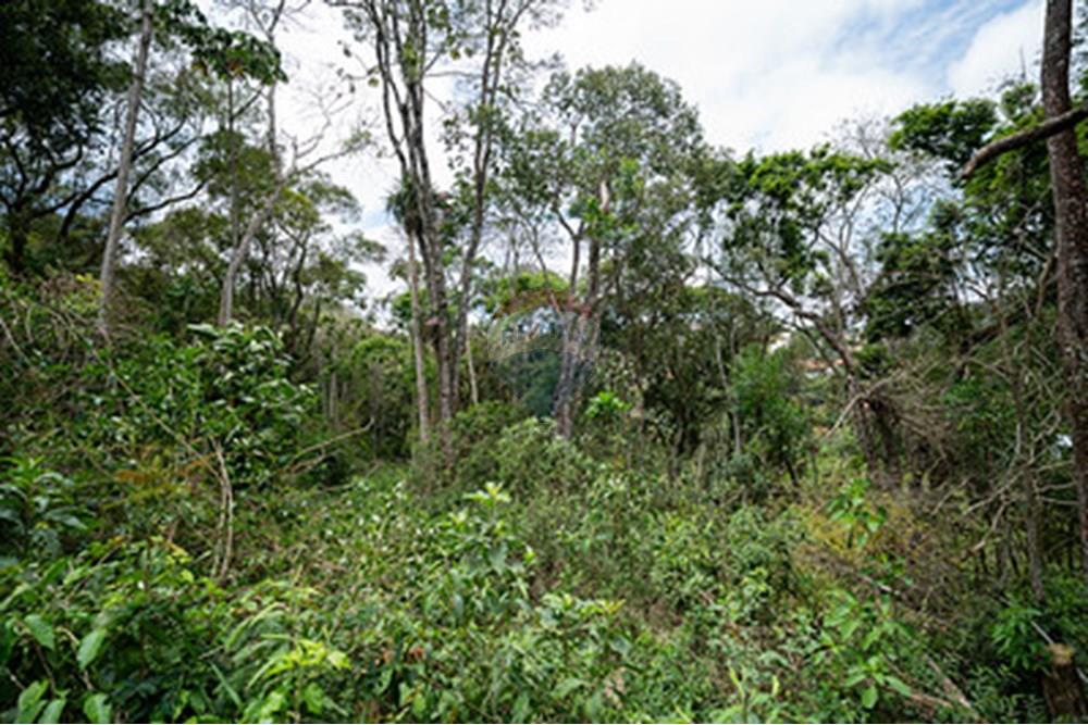 Terreno - Venda - Juiz de Fora , Minas Gerais - saogeraldo11.jpg - 860271016-9