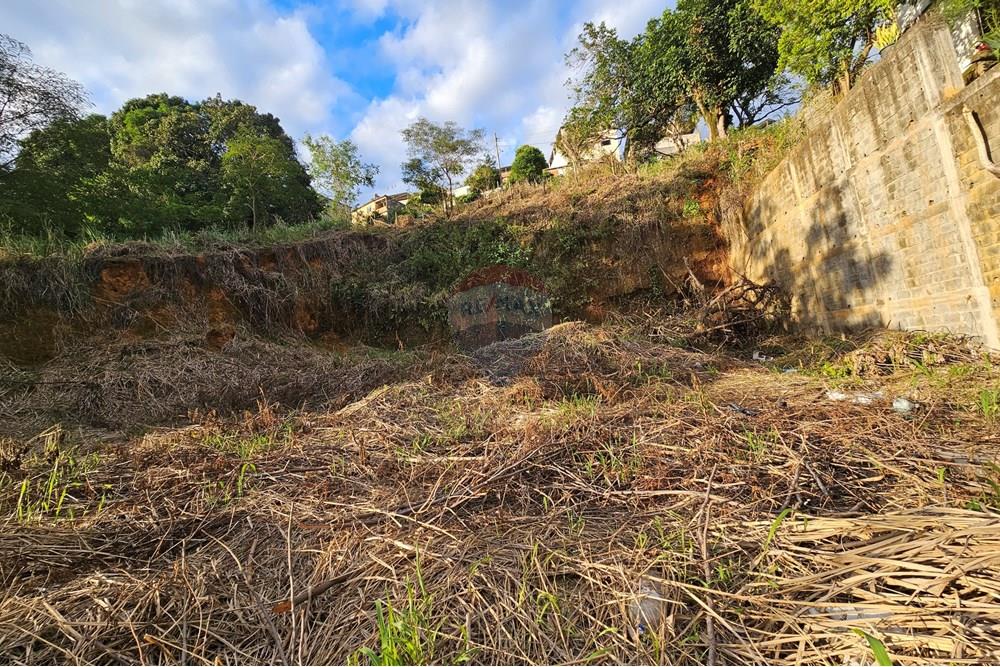 Terreno - Venda - Muriaé , Minas Gerais - 20251110_171726.jpg - 860371002-203