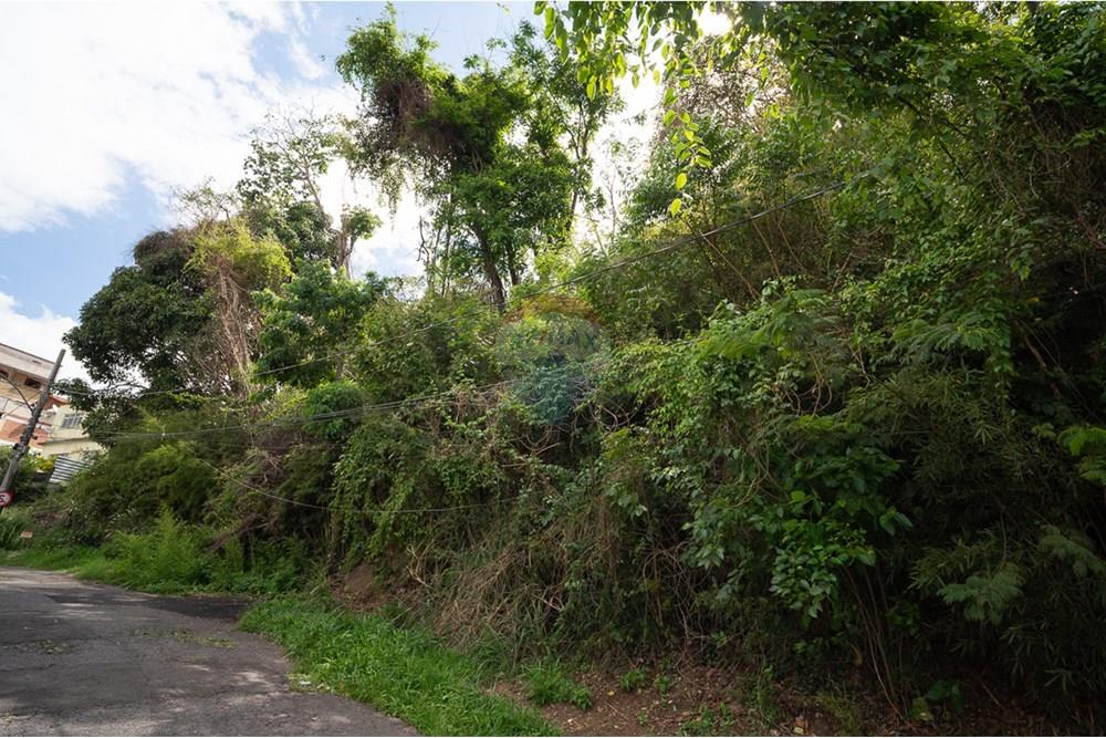 Terreno - Venda - Juiz de Fora , Minas Gerais - michaelseed.photo_1103-78-X2.jpg - 860211097-64