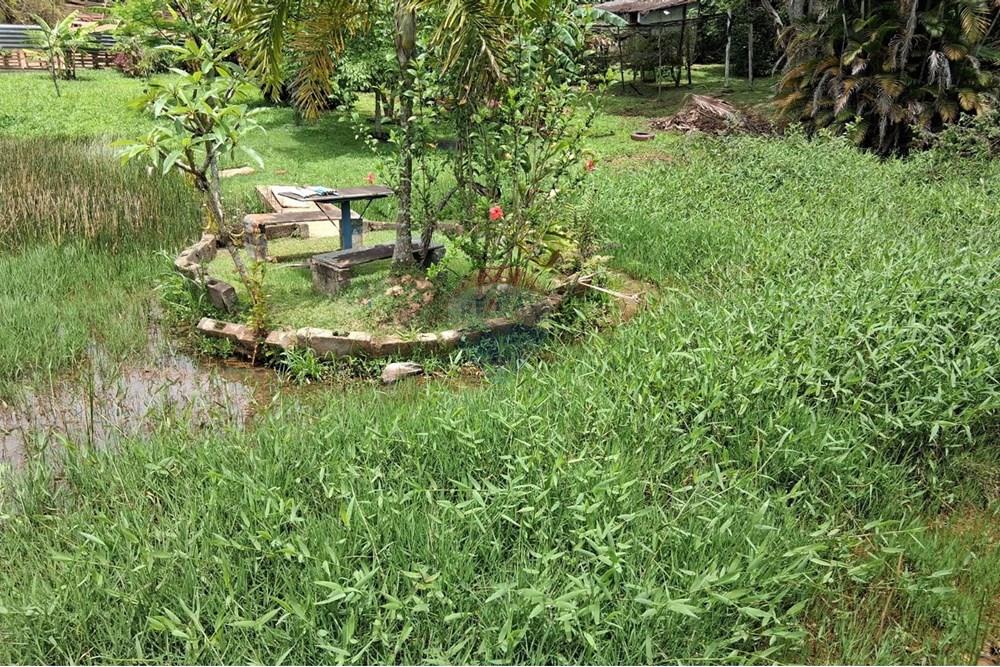 Chácara / Sítio / Fazenda - Venda - Juiz de Fora , Minas Gerais - WhatsApp Image 2025-11-18 at 21.05.05.jpeg - 860281098-63