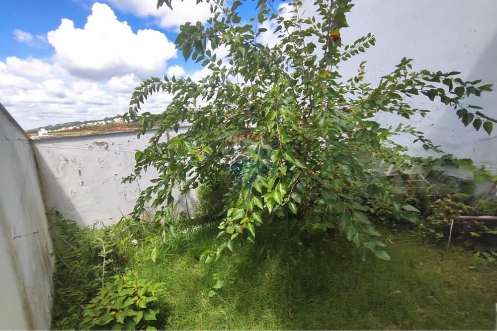 Casa - Venda - Juiz de Fora , Minas Gerais - WhatsApp Image 2026-01-13 at 10.11.07.jpeg - 860291015-37