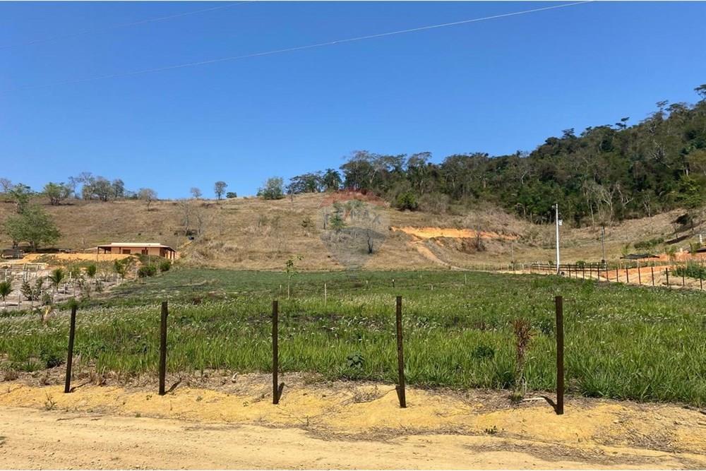 Chácara / Sítio / Fazenda - Venda - Patrocínio do Muriaé , Minas Gerais - 1000323684.jpg - 860371002-115