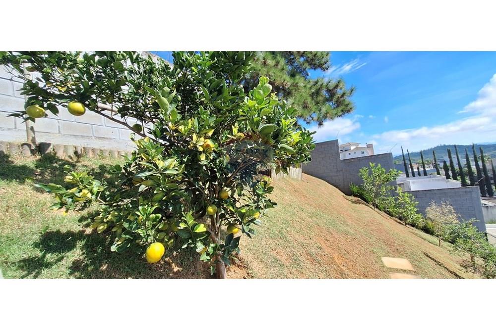 Casa - Alugar - Juiz de Fora , Minas Gerais - WhatsApp Image 2026-04-08 at 18.31.04.jpeg - 860301016-274